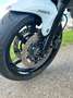 Suzuki Gladius 650 ABS White - thumbnail 5