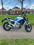 Suzuki Gladius 650 ABS Blanc - thumbnail 4