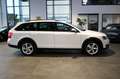 Skoda Octavia OCTAVIA COMBI 2.0 TDI DSG 4x4 SCOUT + ACC + AHK Weiß - thumbnail 7