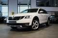 Skoda Octavia OCTAVIA COMBI 2.0 TDI DSG 4x4 SCOUT + ACC + AHK Weiß - thumbnail 11