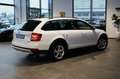 Skoda Octavia OCTAVIA COMBI 2.0 TDI DSG 4x4 SCOUT + ACC + AHK Weiß - thumbnail 13