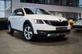 Skoda Octavia OCTAVIA COMBI 2.0 TDI DSG 4x4 SCOUT + ACC + AHK Weiß - thumbnail 17