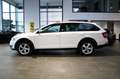 Skoda Octavia OCTAVIA COMBI 2.0 TDI DSG 4x4 SCOUT + ACC + AHK Weiß - thumbnail 3