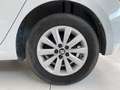 SEAT Ibiza 1.6 TDI 80 CV 5p. Business Wit - thumbnail 10