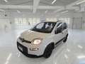 Fiat Panda Panda III 2021 1.0 firefly hybrid City Life 5Posti Bianco - thumbnail 1