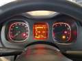 Fiat Panda Panda III 2021 1.0 firefly hybrid City Life 5Posti Bianco - thumbnail 9