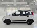 Fiat Panda Panda III 2021 1.0 firefly hybrid City Life 5Posti Bianco - thumbnail 3