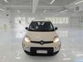 Fiat Panda Panda III 2021 1.0 firefly hybrid City Life 5Posti Bianco - thumbnail 5