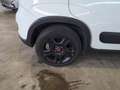 Fiat Panda Panda III 2021 1.0 firefly hybrid City Life 5Posti Bianco - thumbnail 6