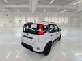 Fiat Panda Panda III 2021 1.0 firefly hybrid City Life 5Posti Bianco - thumbnail 2