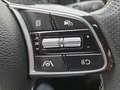 Kia ProCeed / pro_cee'd Proceed 1,0 TGDI GPF GT-Line Grau - thumbnail 18