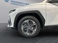 Hyundai TUCSON Jubile 1,6 T-GDi 2WD 48V *prompt verfügbar* Weiß - thumbnail 10
