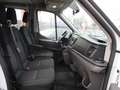 Ford Transit 350 L3 Doka Pritsche *Sitzhzg.*7-Sitzer Weiß - thumbnail 13