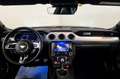 Ford Mustang Mustang Fastback 5.0 V8 aut. GT Grigio - thumbnail 10
