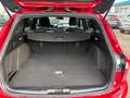 Ford Focus Wagon 1.5 EcoBoost 182pk ST-Line, afneembare trekh Rouge - thumbnail 10