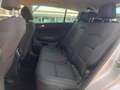 Kia Sportage IV 1.7 crdi Business Class 2wd 115cv NEOPATENTATI Argento - thumbnail 12