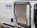 Fiat DOBLO  CARGO Blanco - thumbnail 20
