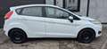 Ford Fiesta Celebration Klima Navi PDC Tüv Neu Weiß - thumbnail 7