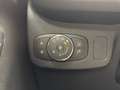 Ford Puma 1.0 EcoBoost Hybrid 125 CV S&S aut. Titanium Grigio - thumbnail 13