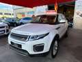 Land Rover Range Rover Evoque 2.0TD4 SE Dynamic 4WD 180 Blanc - thumbnail 6