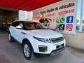 Land Rover Range Rover Evoque 2.0TD4 SE Dynamic 4WD 180 Blanc - thumbnail 17