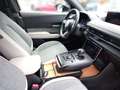 Mazda MX-30 e-SKYACTIV Advantage Advantage ACC LED PDC Grau - thumbnail 12
