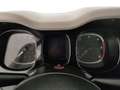 Fiat Panda 1.3 MJT 95 CV S&S 4x4 Rosso - thumbnail 12