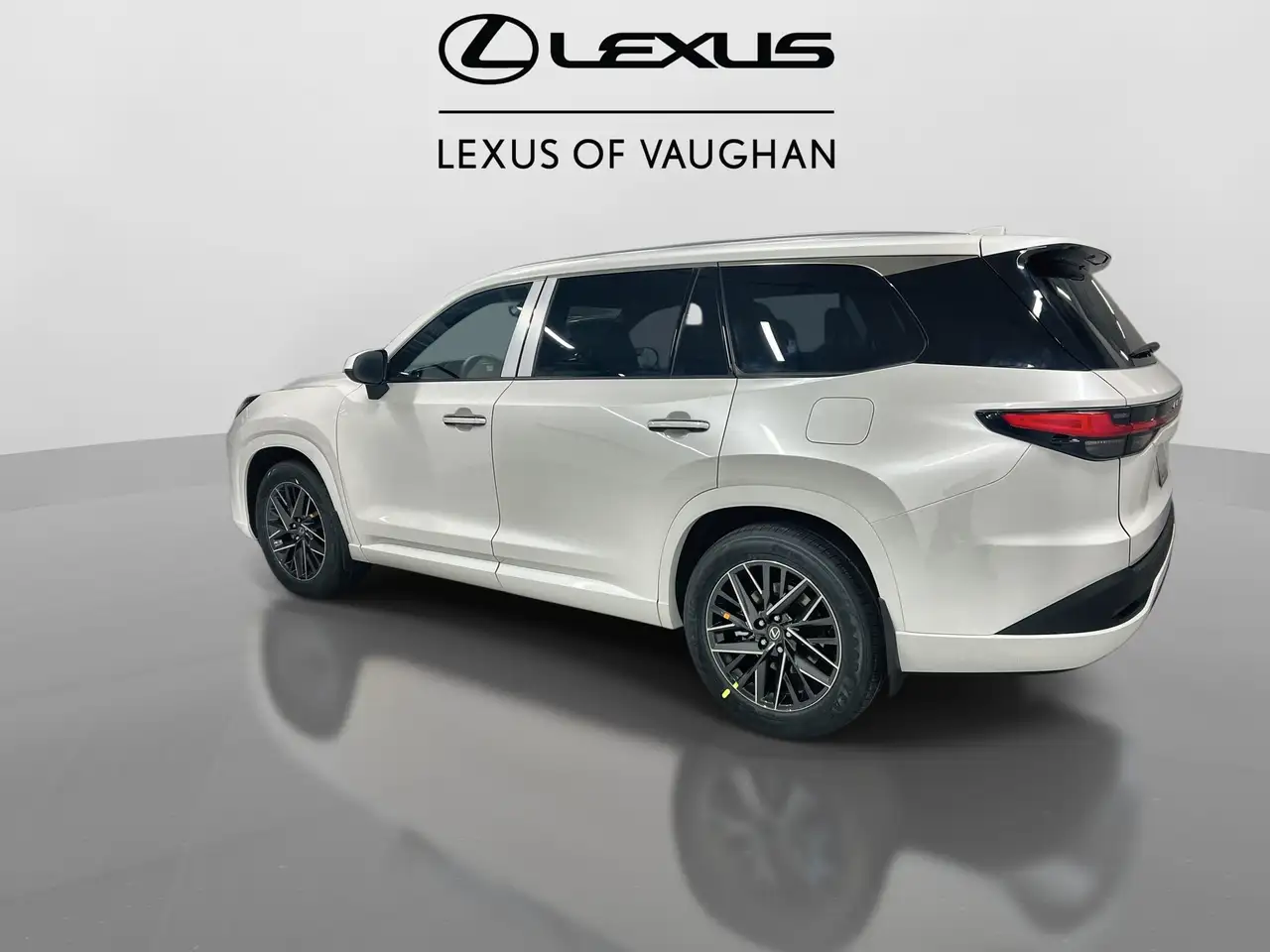 Lexus TX 350 fotografie Lexus TX 350