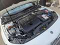 Mercedes-Benz A 180 A 180 d Austria Edition Aut. Weiß - thumbnail 21