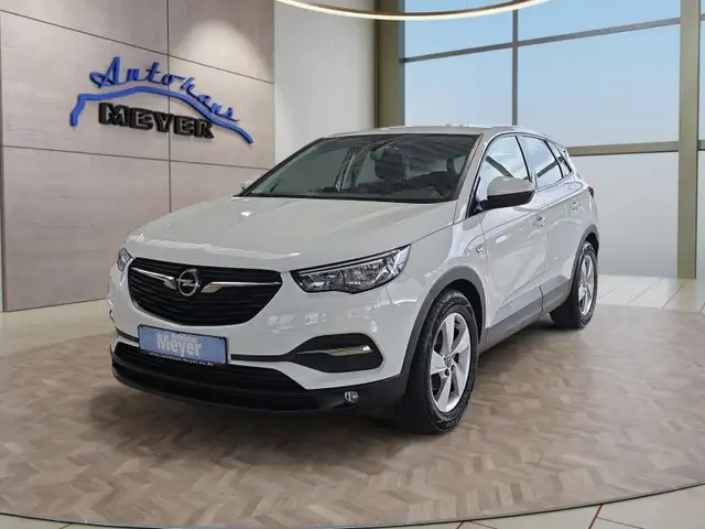 Opel Grandland X 1.2T 130PS AHK/Alu/Kamera/Winterp.