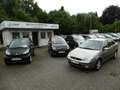 Ford Focus 1.6 Trend Klima Allwetterreifen Beige - thumbnail 12
