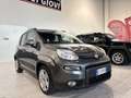 Fiat Panda CITY LIFE 1.0  HYBRID 70CV 5POSTI AZIENDALE KMCERT Grigio - thumbnail 2