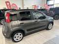 Fiat Panda CITY LIFE 1.0  HYBRID 70CV 5POSTI AZIENDALE KMCERT Grigio - thumbnail 6