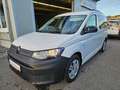 Volkswagen Caddy TDI 4Motion "AHV, App-Connect, ACC" Weiß - thumbnail 1