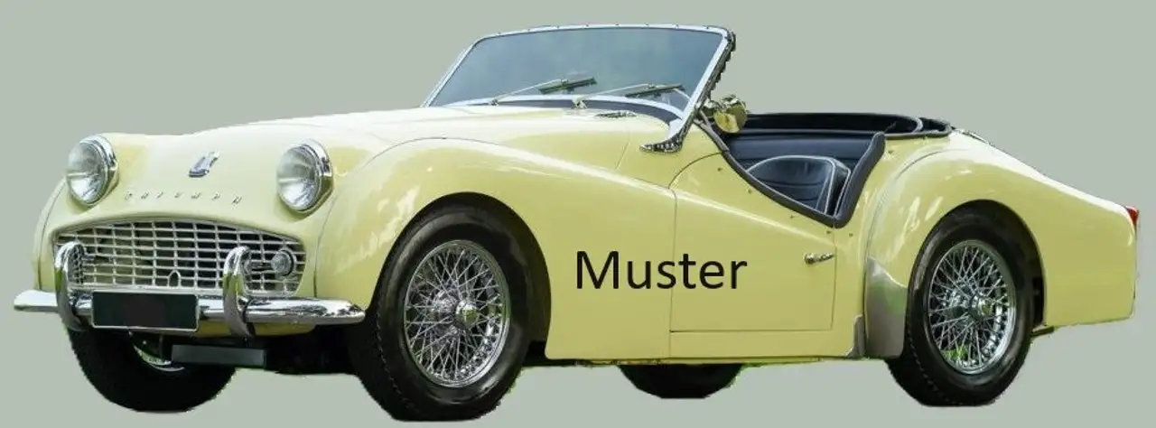 Triumph TR3