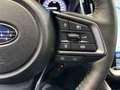 Subaru OUTBACK Outback Platinum Grau - thumbnail 16