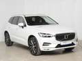 Volvo XC60 B5 D AWD Geartronic Inscription *Xenium * ACC* White - thumbnail 3