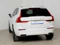 Volvo XC60 B5 D AWD Geartronic Inscription *Xenium * ACC* White - thumbnail 5