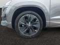 Skoda Karoq 2,0 TSI DSG 4x4 Sportline/AHK/LEDER/MATRIX Grau - thumbnail 15