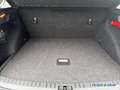 Skoda Scala Essence 1.0 TSI DSG*SHZ*SMARTLINK*FSE*GRA Grau - thumbnail 6