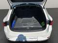 SEAT Leon Sportstourer 1.5 TSI FR *KAMERA SHZ* Weiß - thumbnail 9