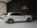 Porsche Cayenne (3) 3.0 E-HYBRID Gris - thumbnail 7