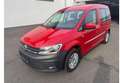 Volkswagen Caddy Caddy Kombi Trendline 2,0 TDI TL MWST ausweisbar - thumbnail 3