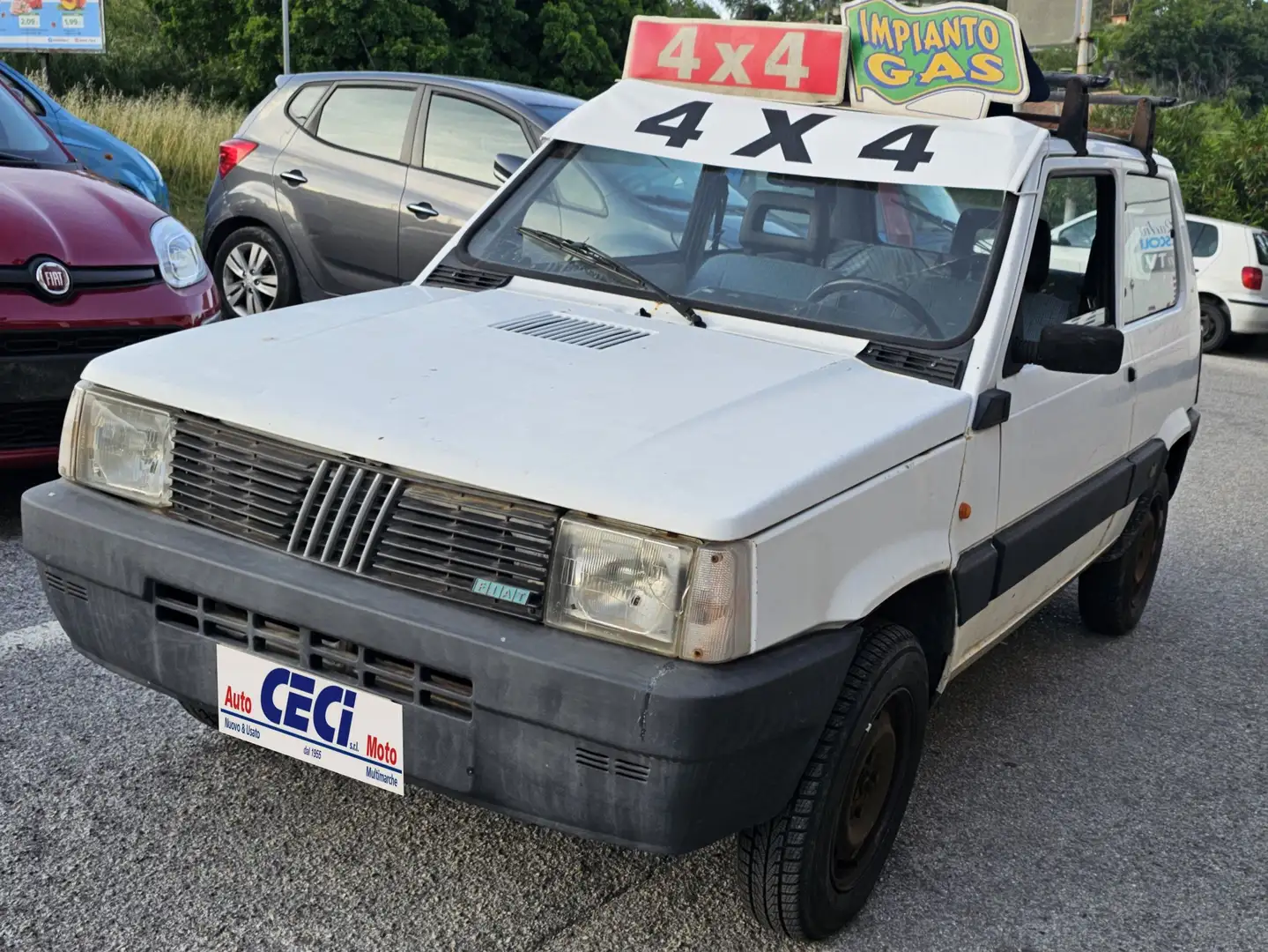 Fiat Panda Panda 1.0 Trekking 4x4+IMPIANTO GAS ESTERNO Bianco - 1