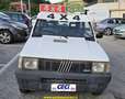 Fiat Panda Panda 1.0 Trekking 4x4+IMPIANTO GAS ESTERNO Bianco - thumbnail 2