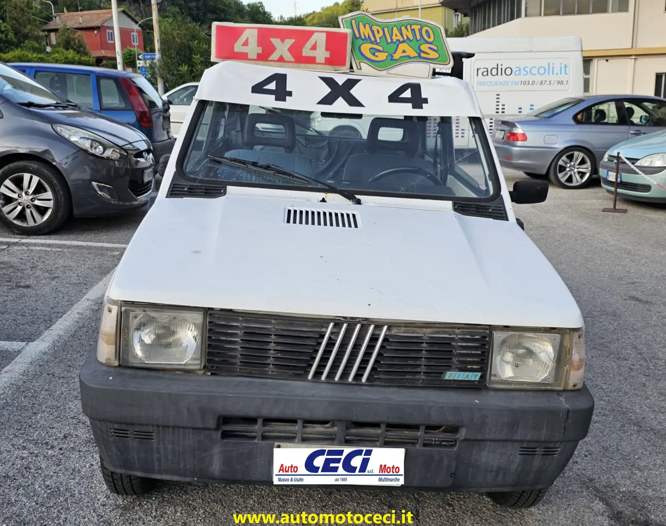 Fiat Panda Panda 1.0 Trekking 4x4+IMPIANTO GAS ESTERNO Bianco - 2