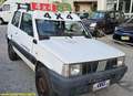 Fiat Panda Panda 1.0 Trekking 4x4+IMPIANTO GAS ESTERNO Bianco - thumbnail 3