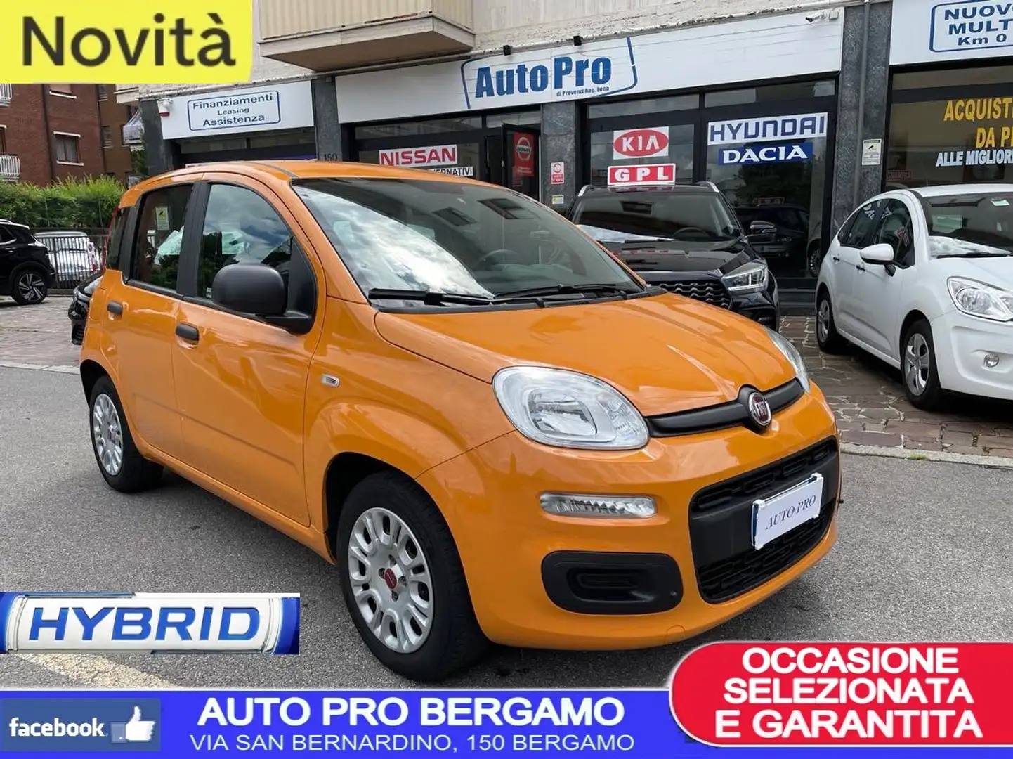 Fiat Panda 1.0 firefly hybrid 5POSTI, UNICO PROPRIETARIO Оранжевый - 1