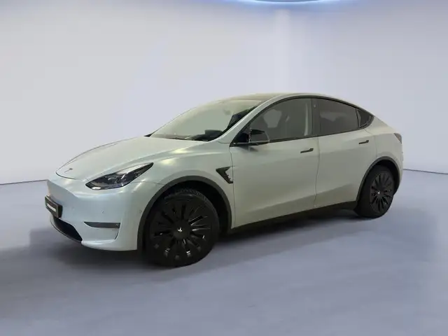 Tesla Model Y Long Range AWD 75 kWh|INCL BTW|AUTOPILOT|INRUIL MO