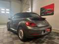 Volkswagen Coccinelle 1.2 TSI 105cv VINTAGE DSG7 Gris - thumbnail 3
